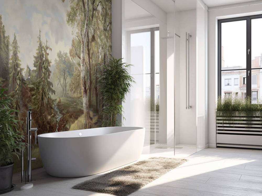 Paesaggio Forestale Colore #1