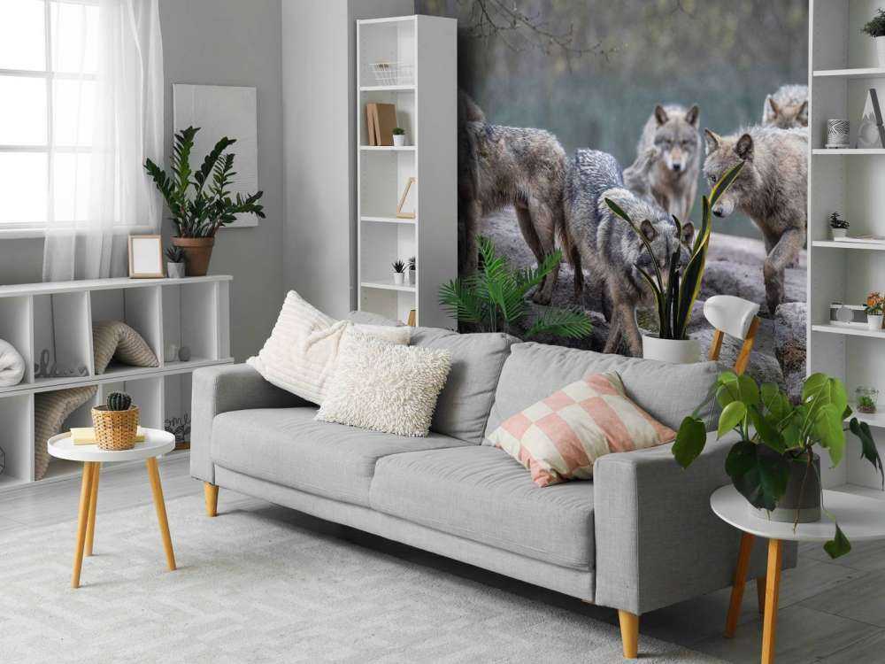 Guardiano del Bosco Crepuscolo