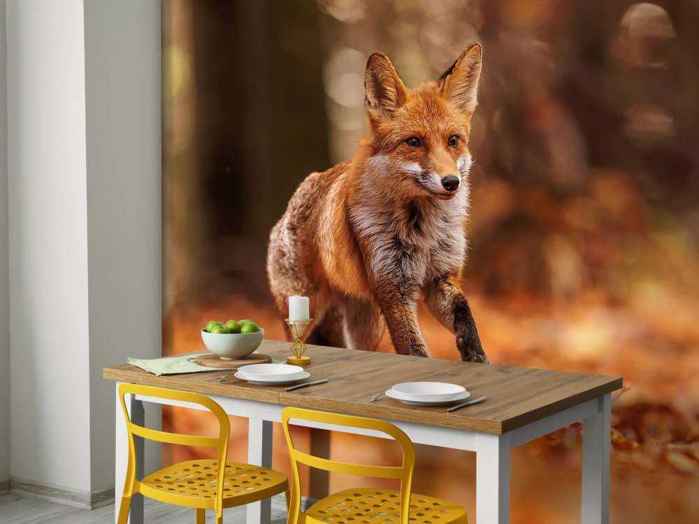 Colpi di Volpe Volo Autunnale