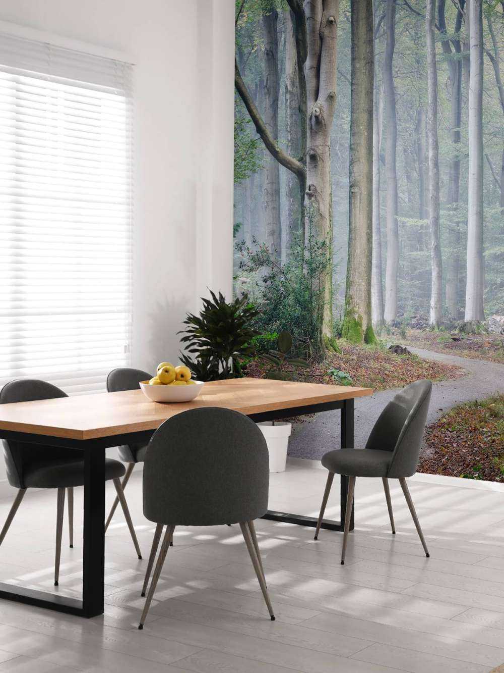 Sentiero attraverso la foresta