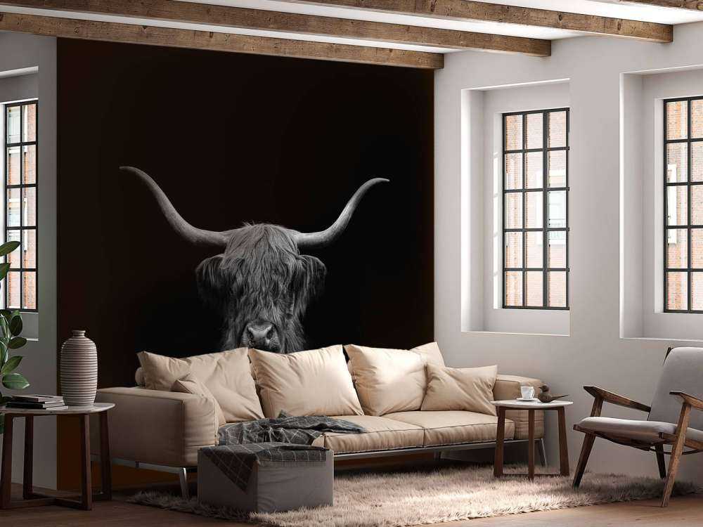 Highlander scozzese in bianco e nero