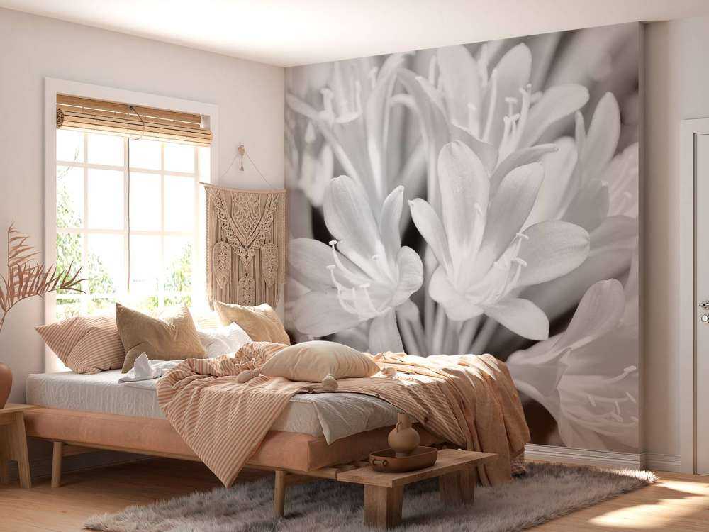 Fiori in fiore, bianco e nero