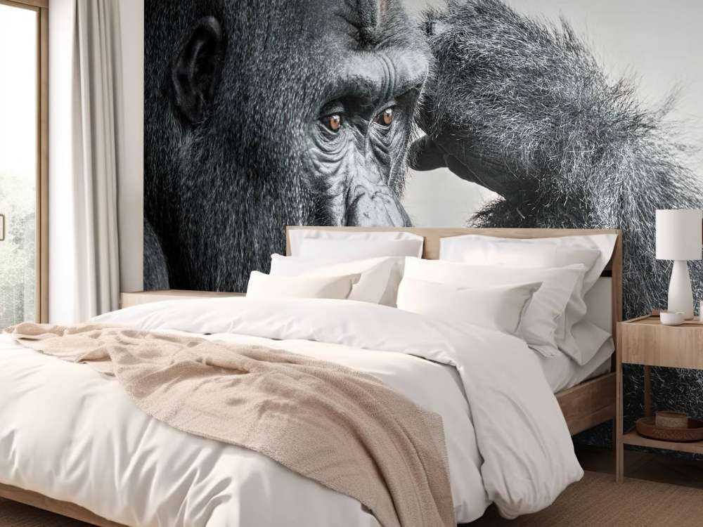 Gorilla bianco e nero