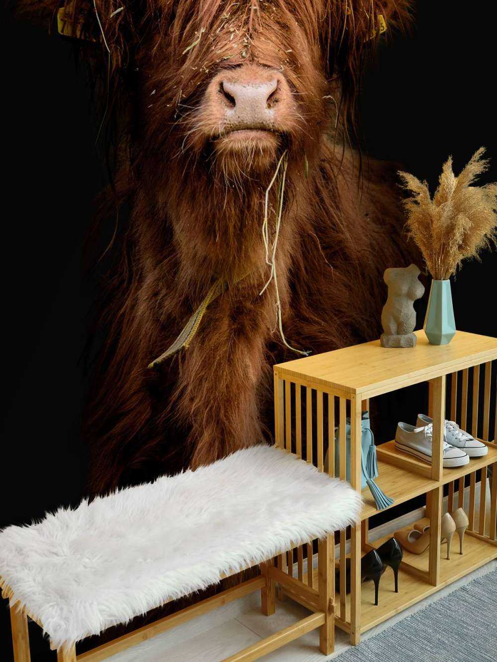 Ritratto scozzese Highlander