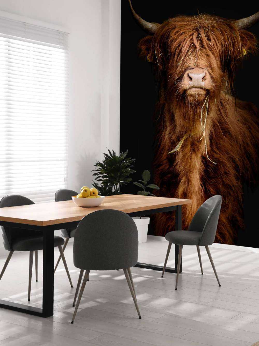 Ritratto scozzese Highlander