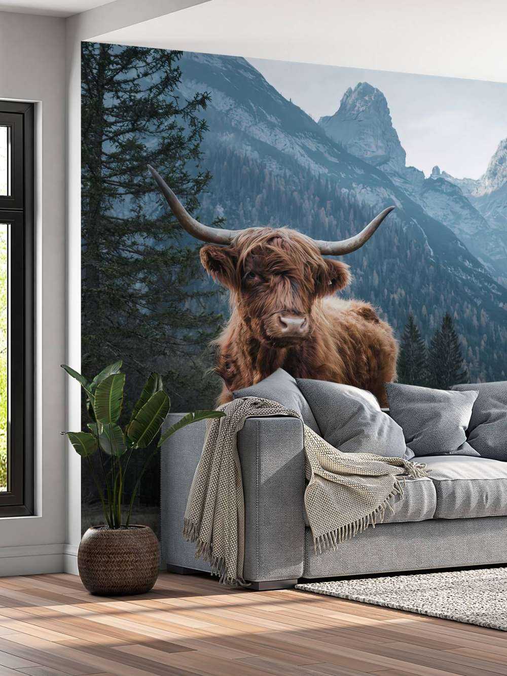 Highlander scozzese tra gli alberi