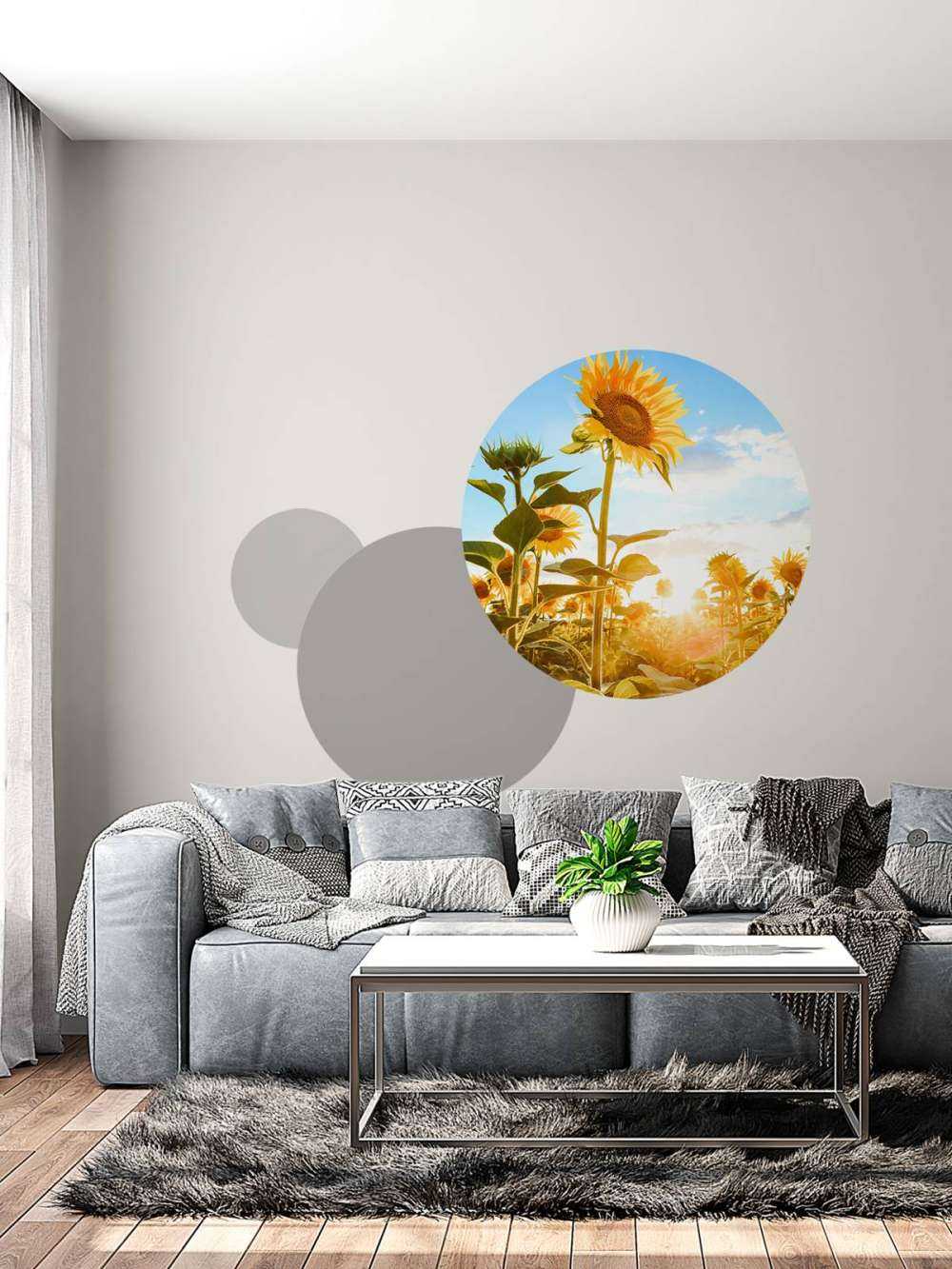 Girasole con cielo blu