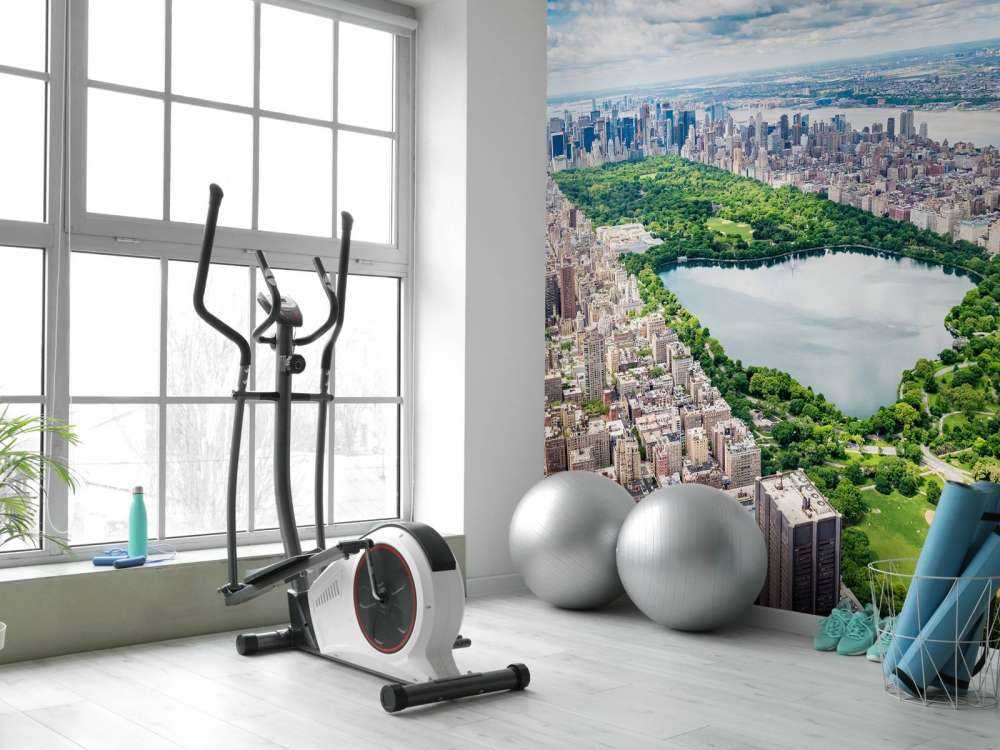 Skyline con Central Park