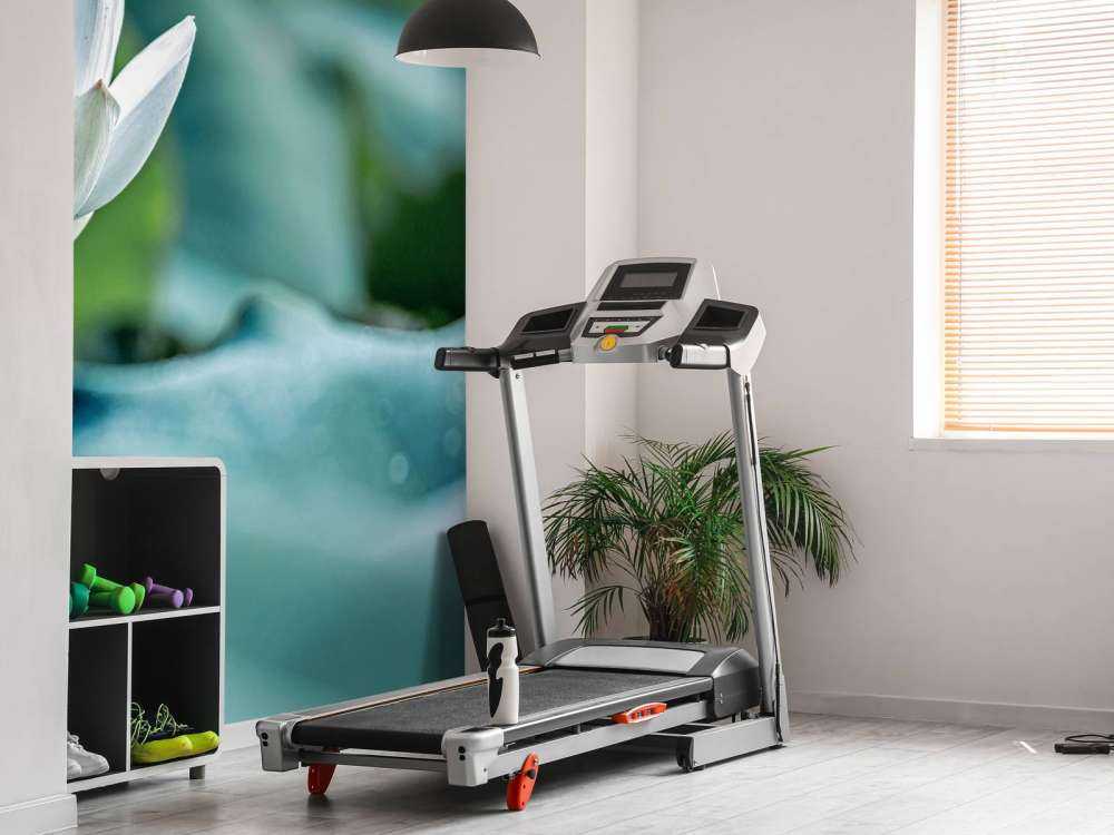 Fiore di loto bianco