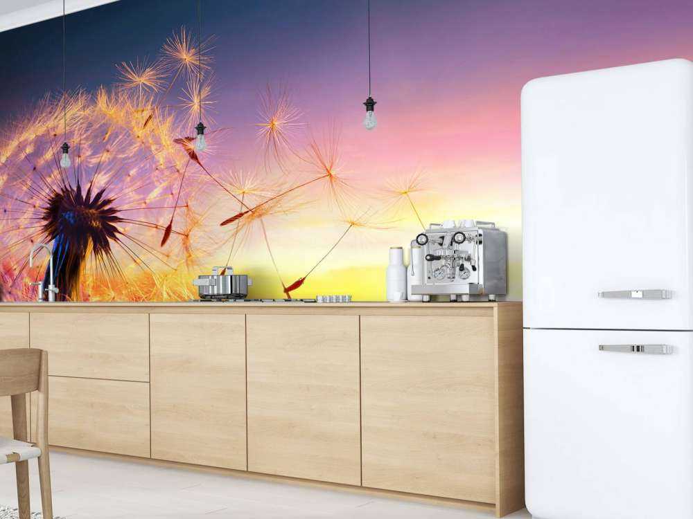 Tarassaco al tramonto