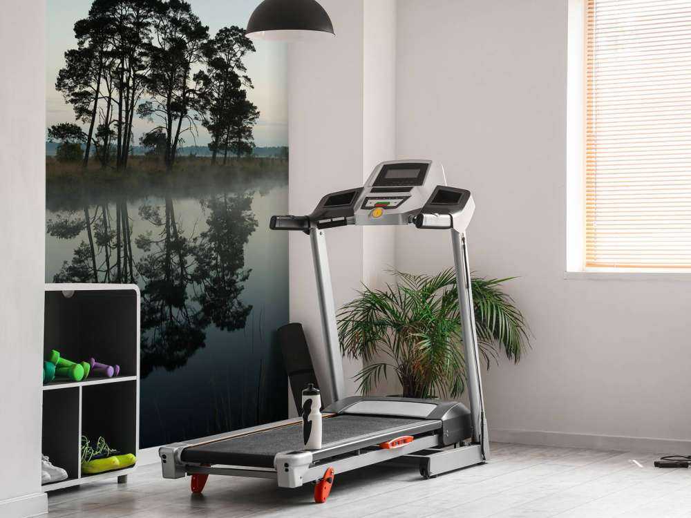 Alberi lungo i boschi