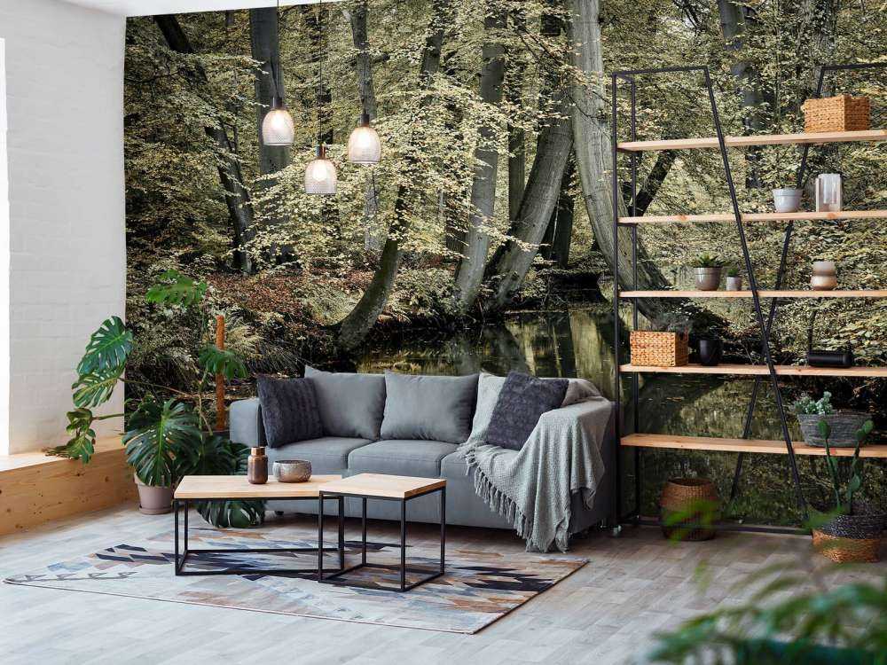 Ruscello con alberi sospesi