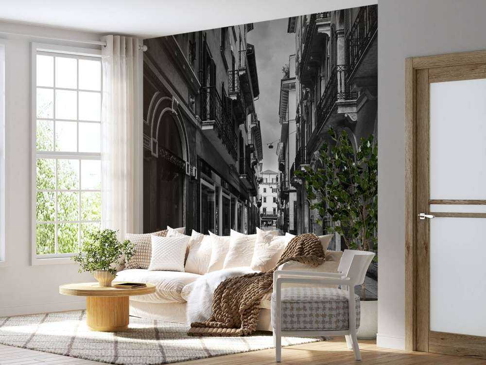 Strada dello shopping in bianco e nero