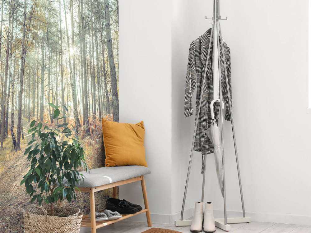 Sentiero attraverso il bosco soleggiato