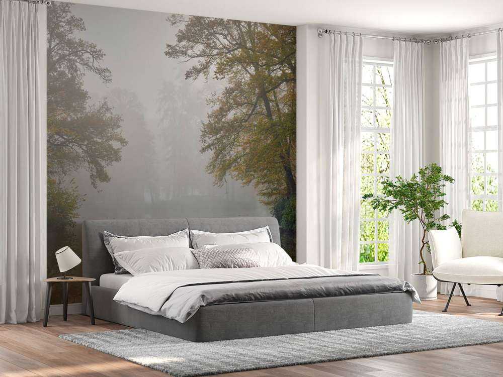 Stagno della foresta nella nebbia