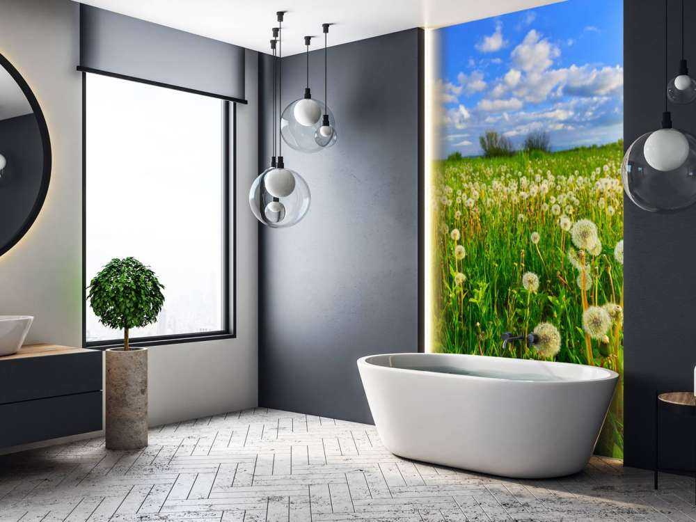 Campo di denti di leone