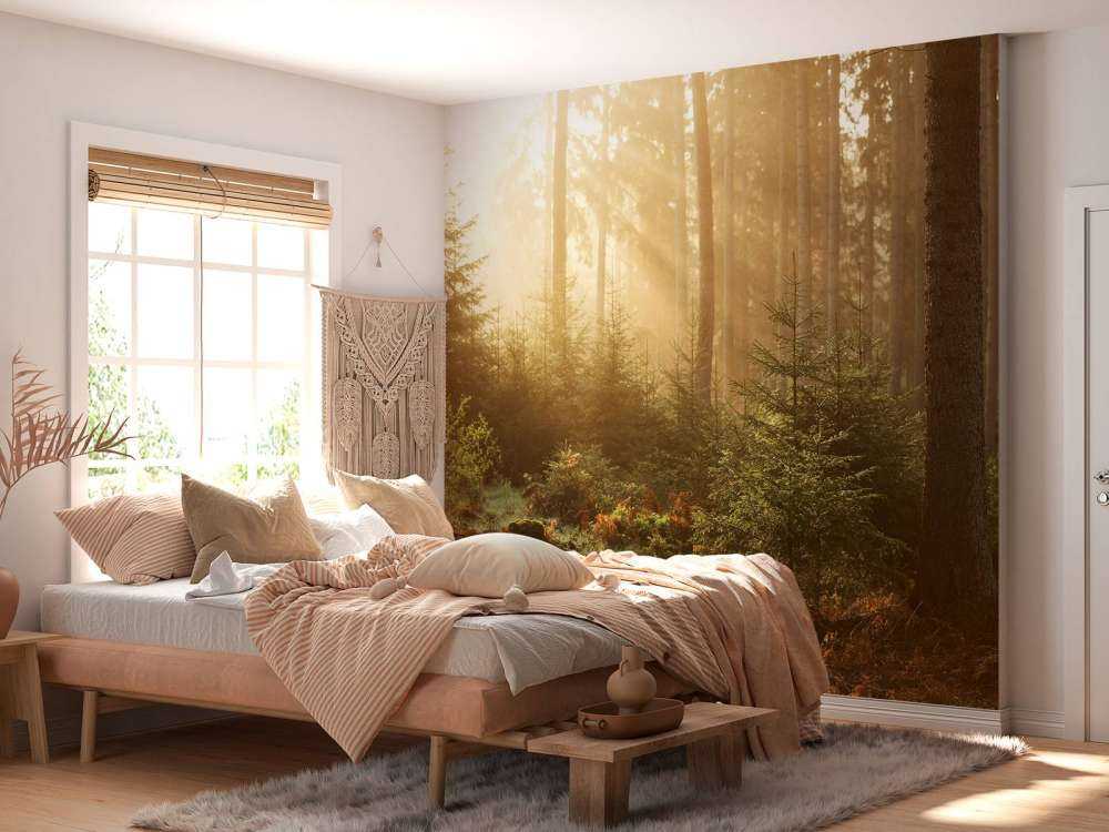 Raggi di sole attraverso la foresta