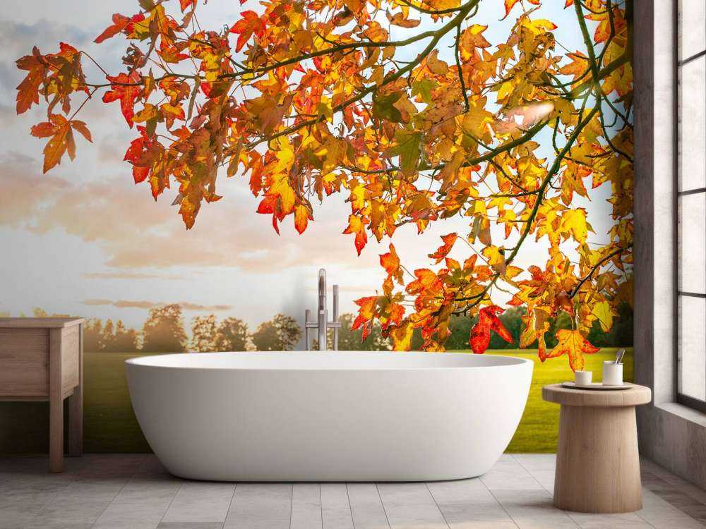 Albero d'autunno al tramonto