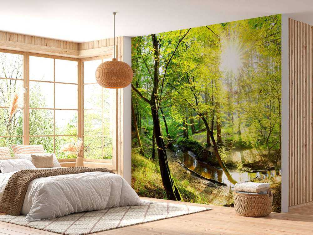 Foresta con un ruscello