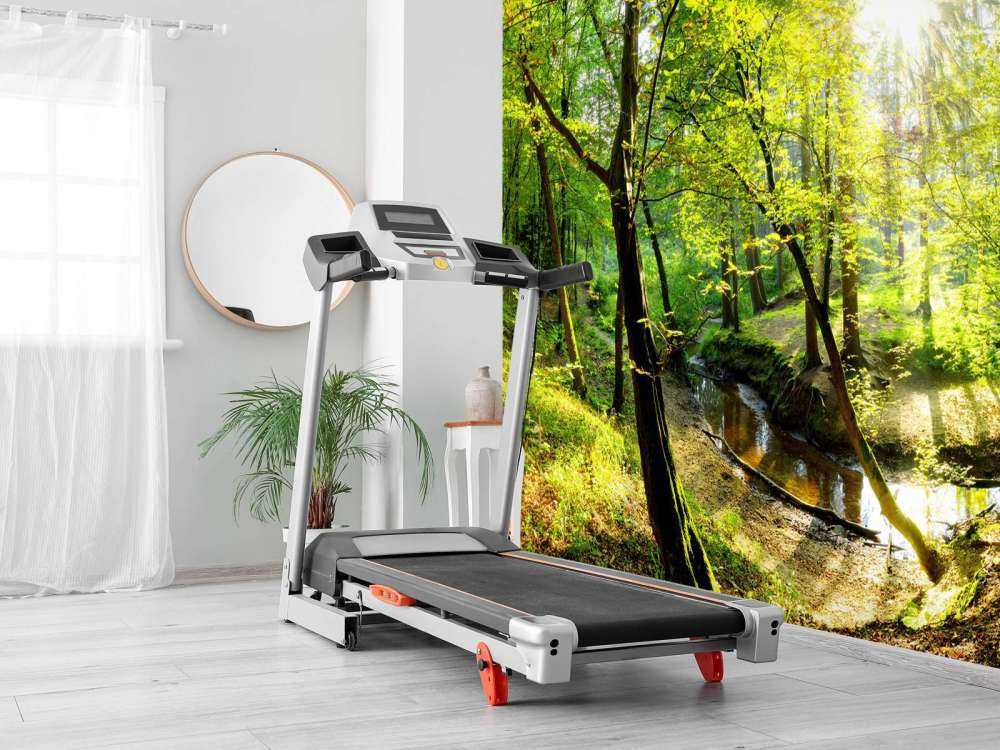 Foresta con un ruscello