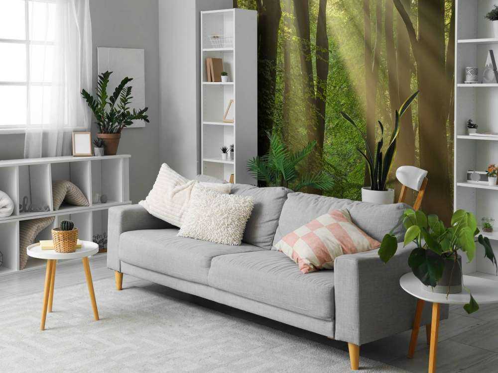 Arpe del sole nella foresta