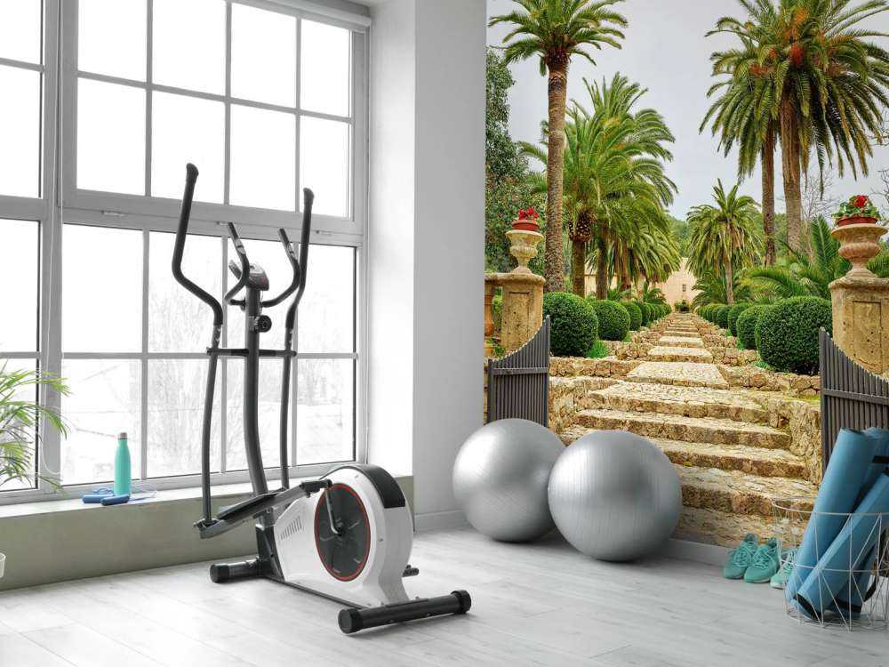 Palme lungo i gradini di pietra