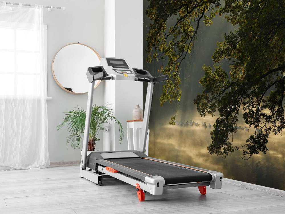 Rami a strapiombo sull'acqua