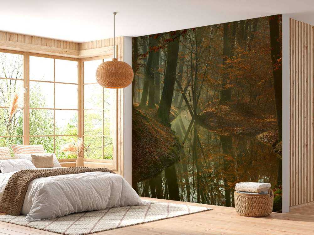 Fiume attraverso la foresta