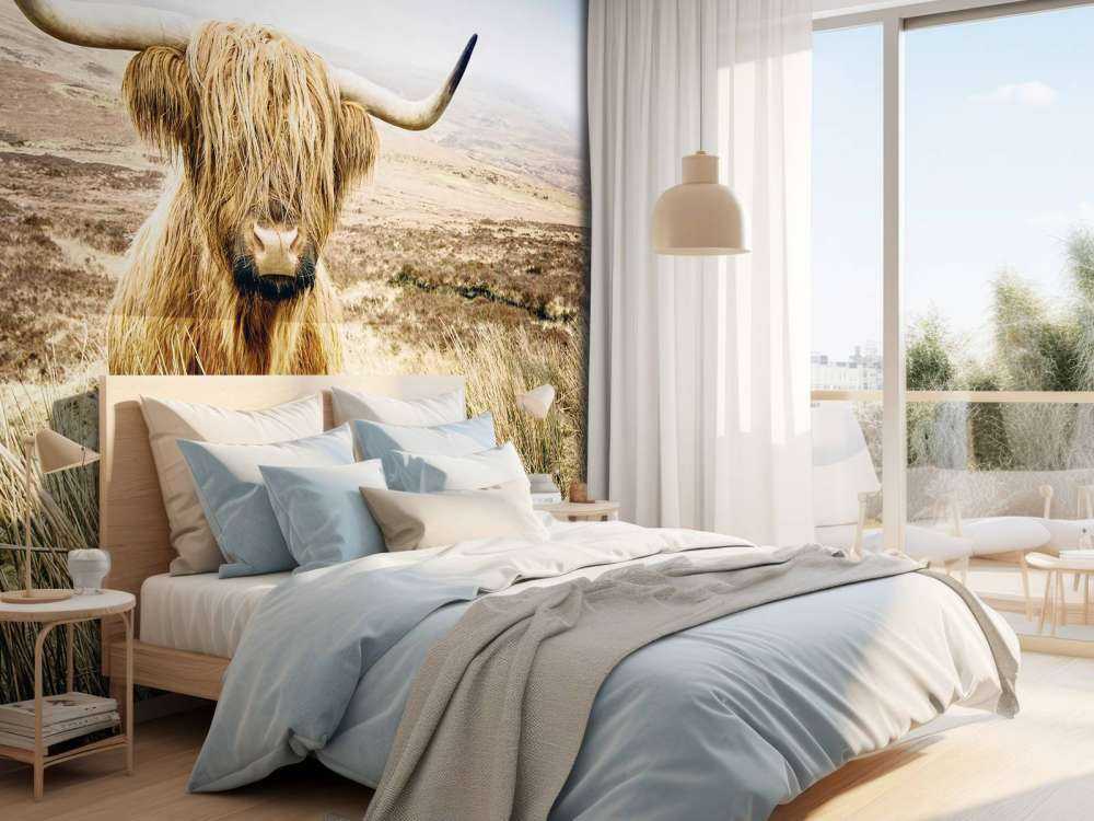 Highlander scozzese con canna