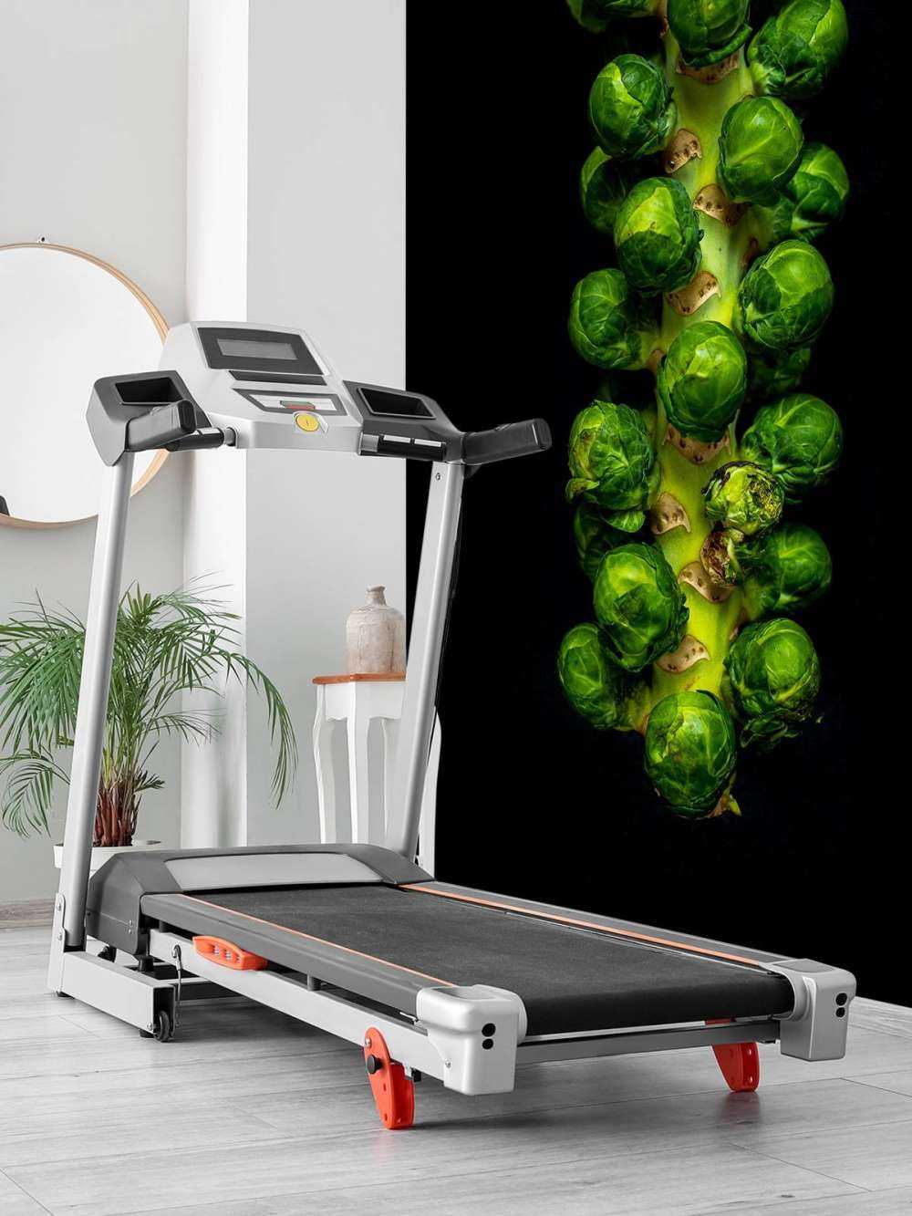 Cavolini di Bruxelles