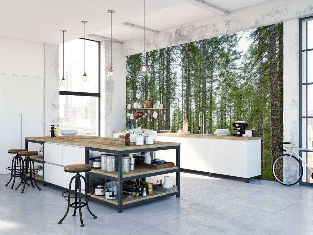 Alti alberi dritti