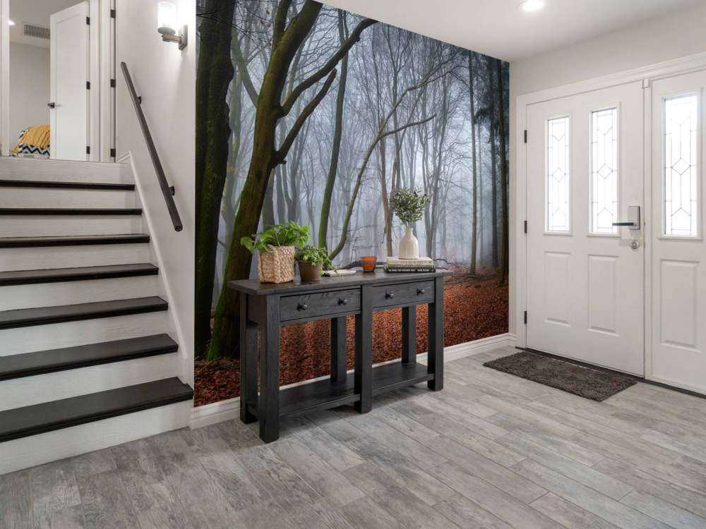 Misteriosa foresta nebbiosa