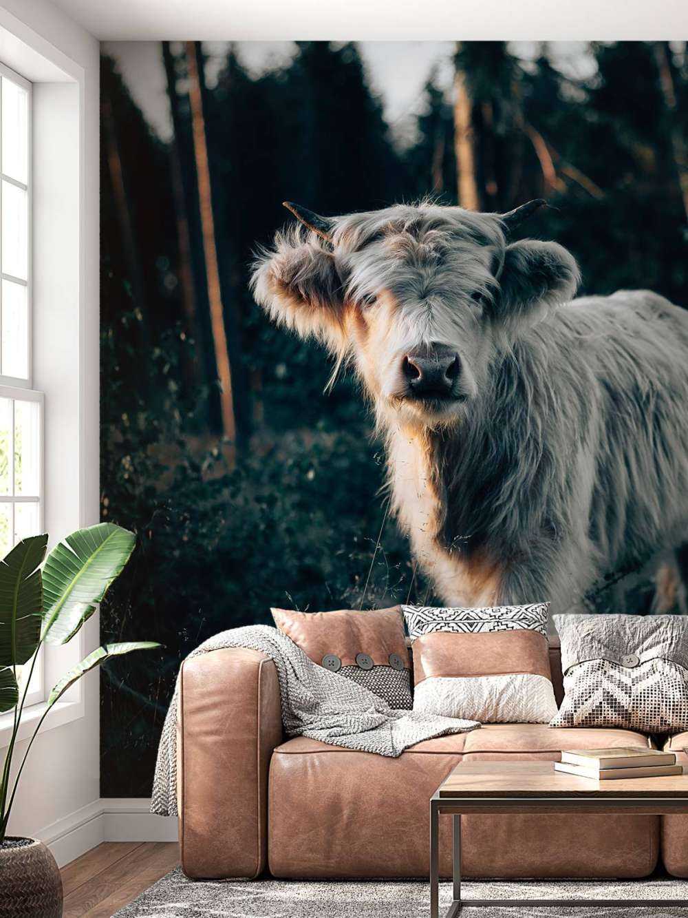 Cucciolo di Highlander scozzese