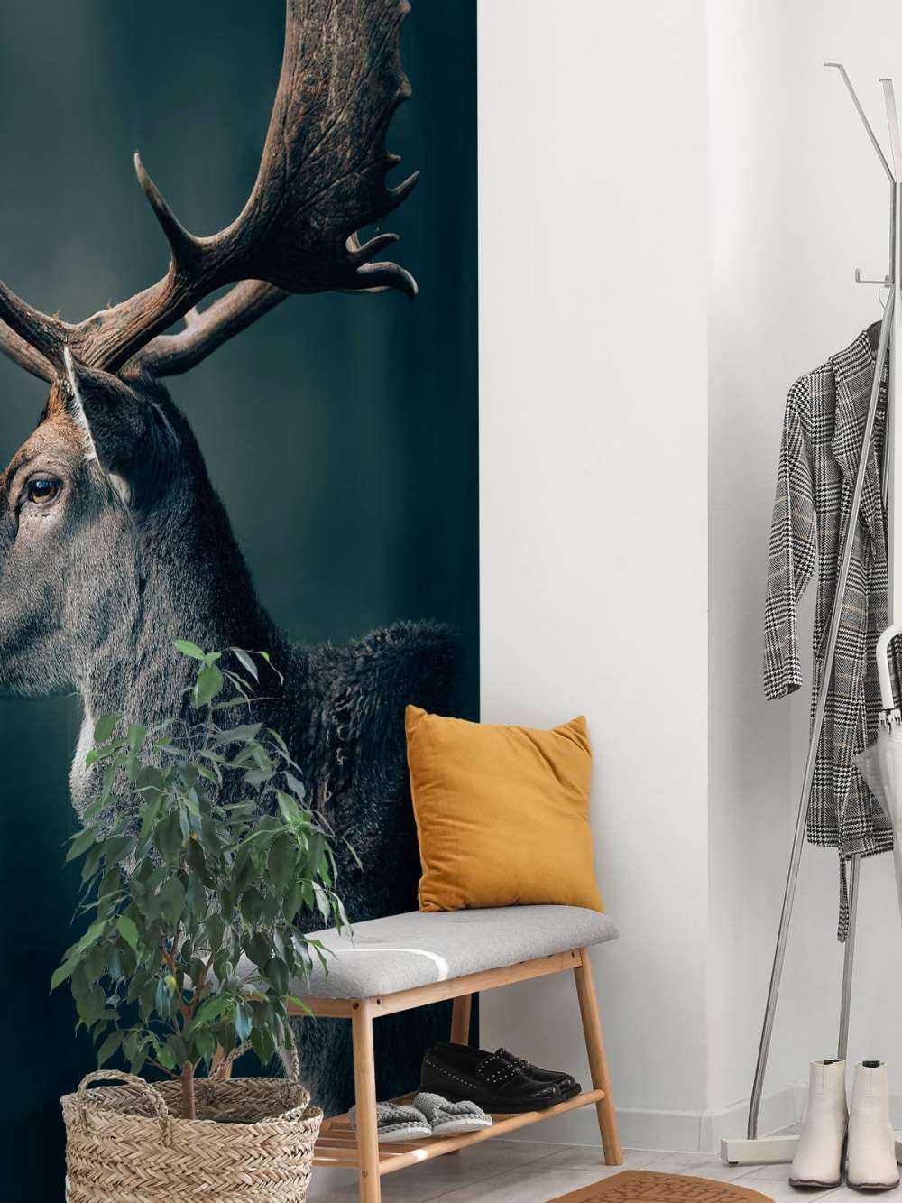 Cervo daino in primo piano