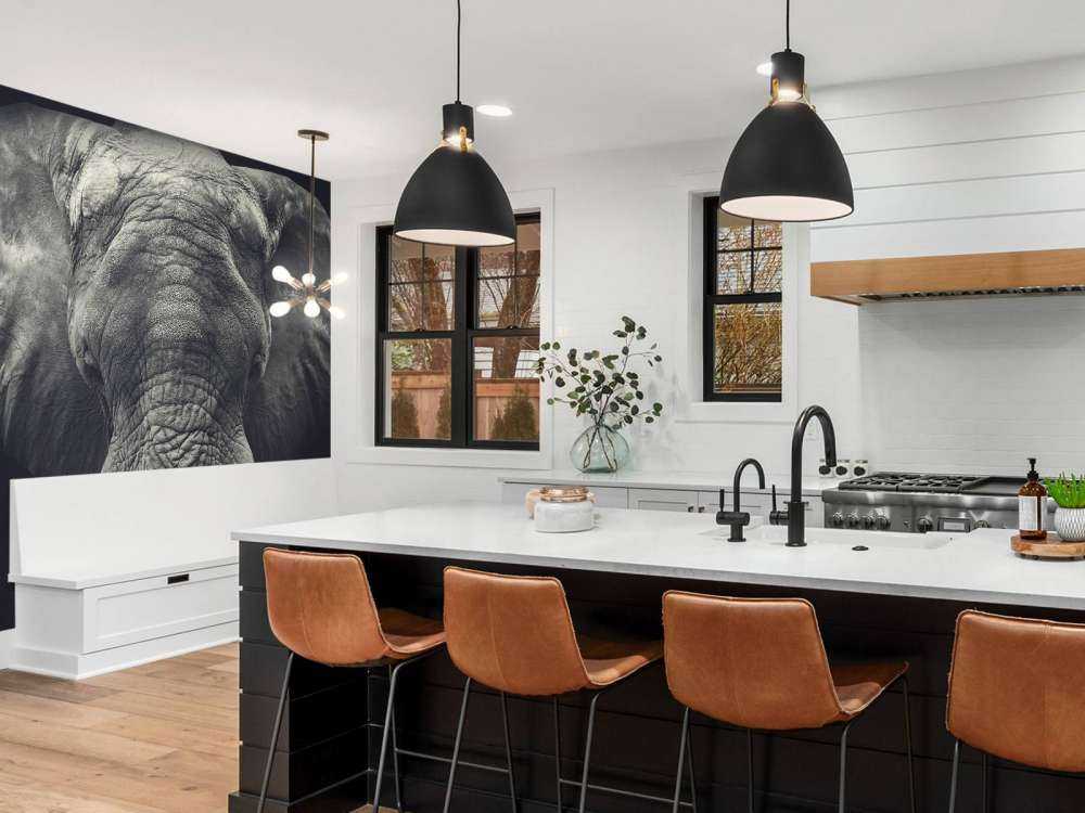 Primo piano di un elefante