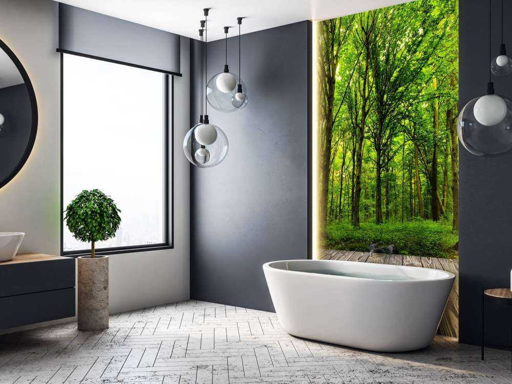 Foresta lussureggiante 