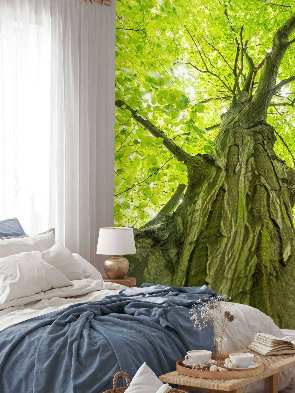 Grande albero nella foresta