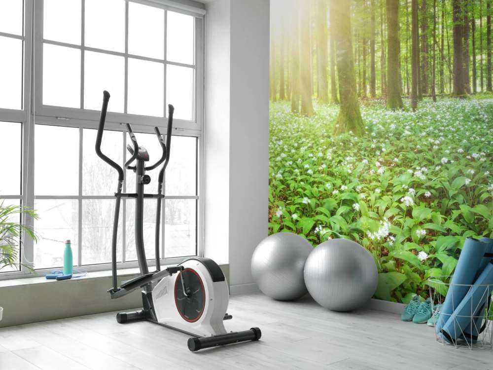 Foresta selvaggia all'alba