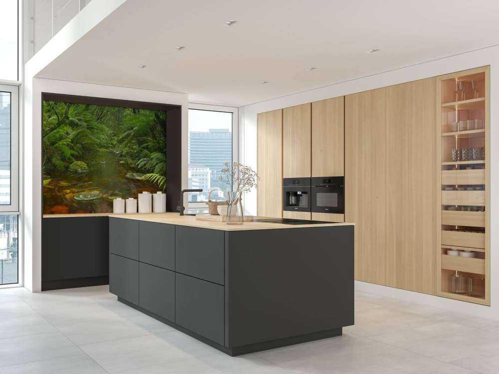 Fiume nella foresta pluviale