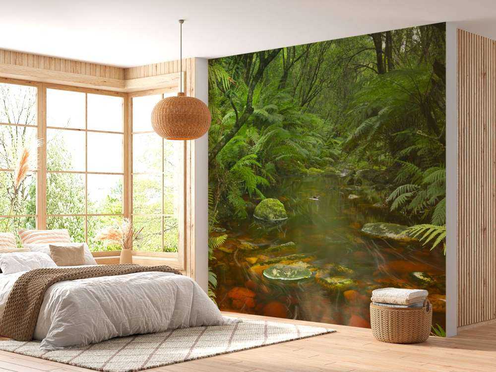 Fiume nella foresta pluviale