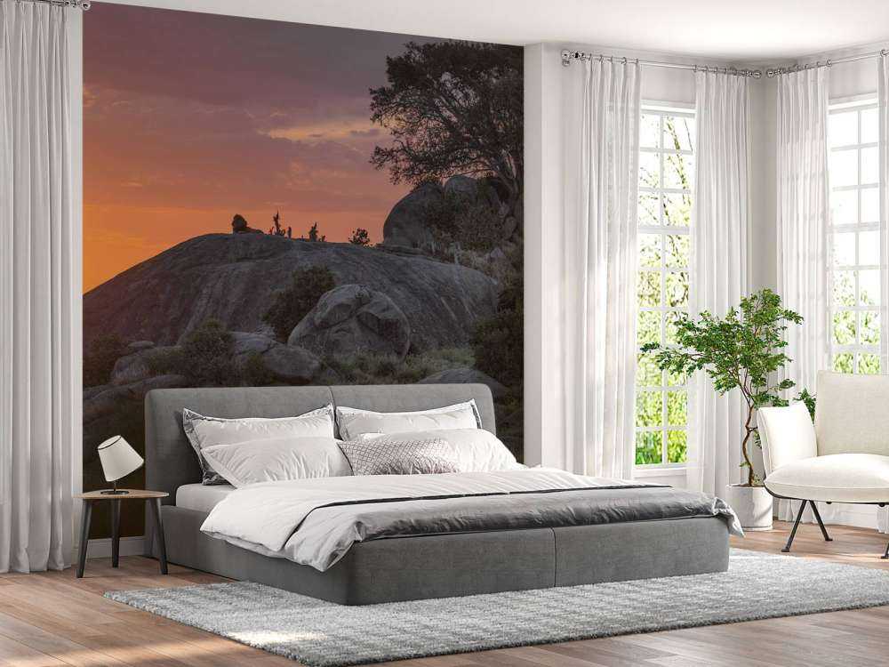 Tramonto sulla savana