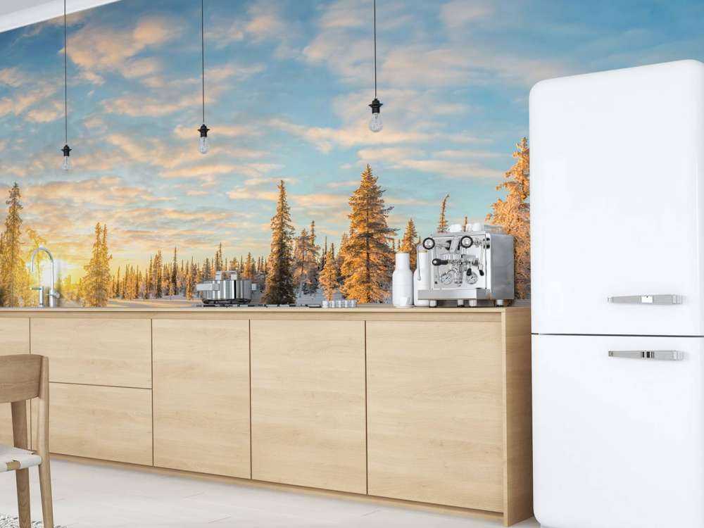 Paesaggio di neve al tramonto