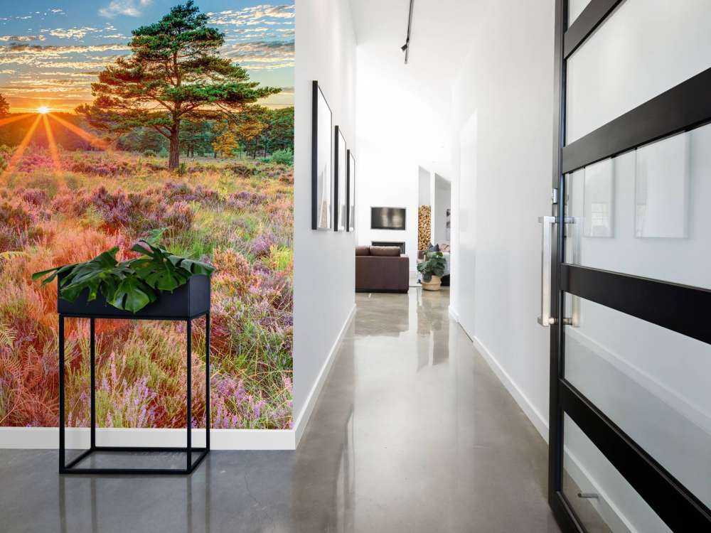 Tramonto in campagna