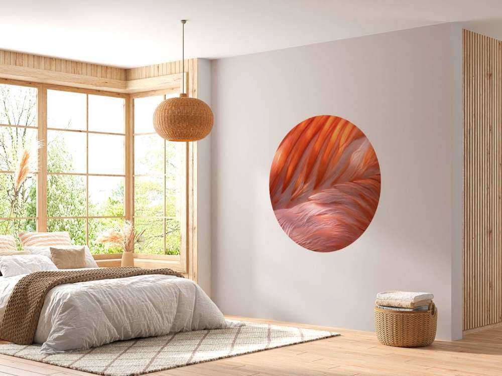 Piume di fenicottero