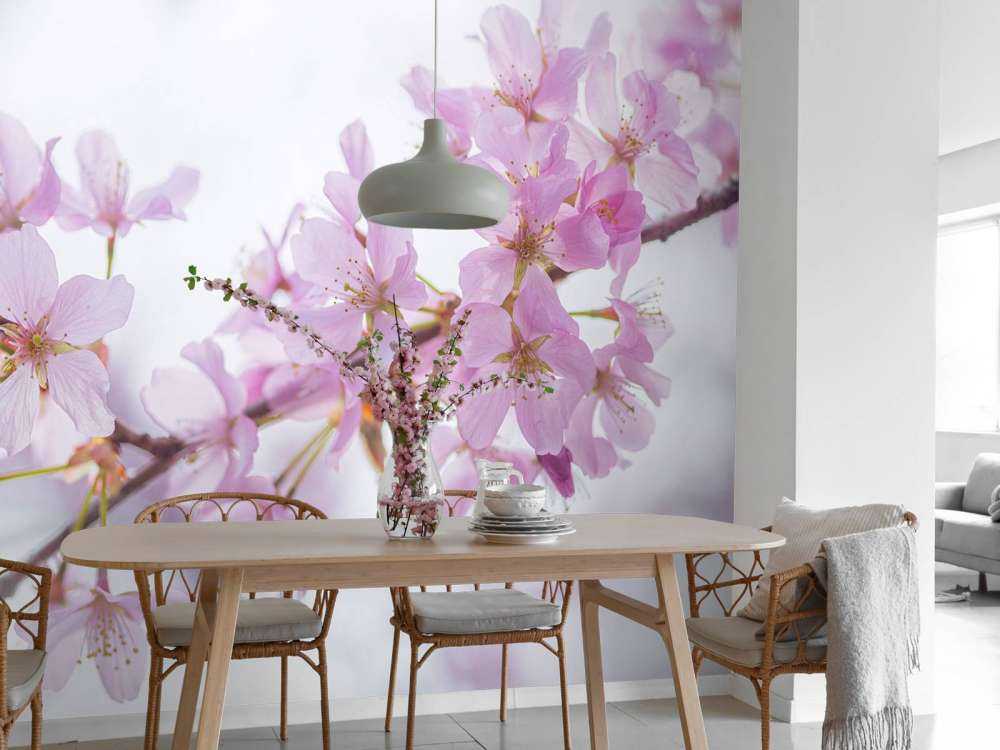 Fiore in primo piano