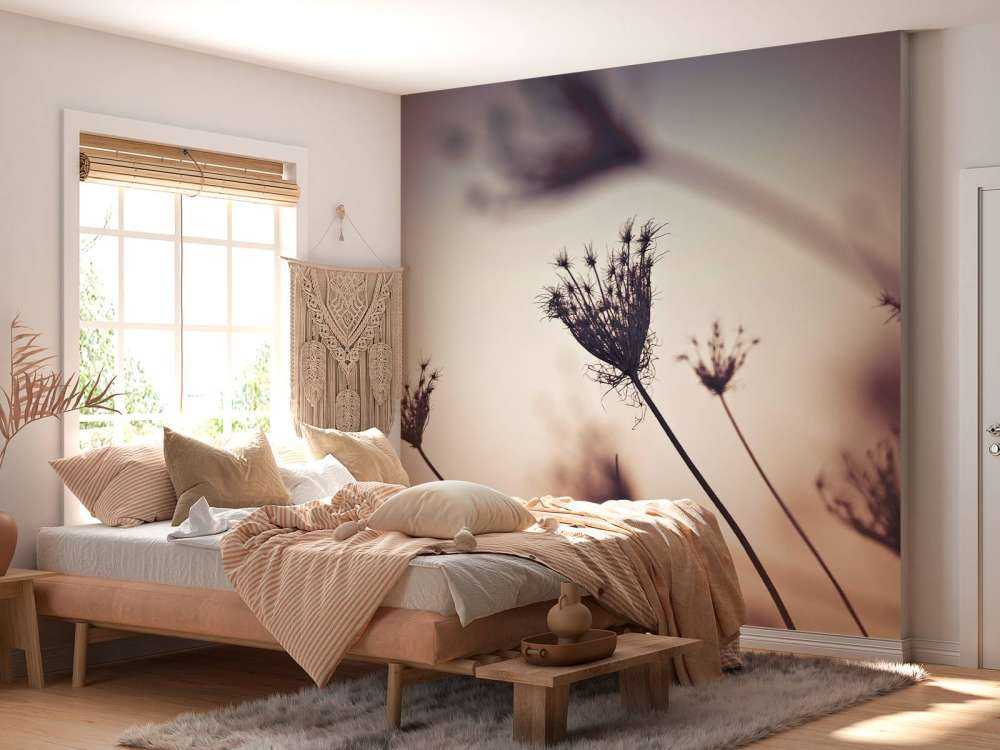 Silhouette di piante