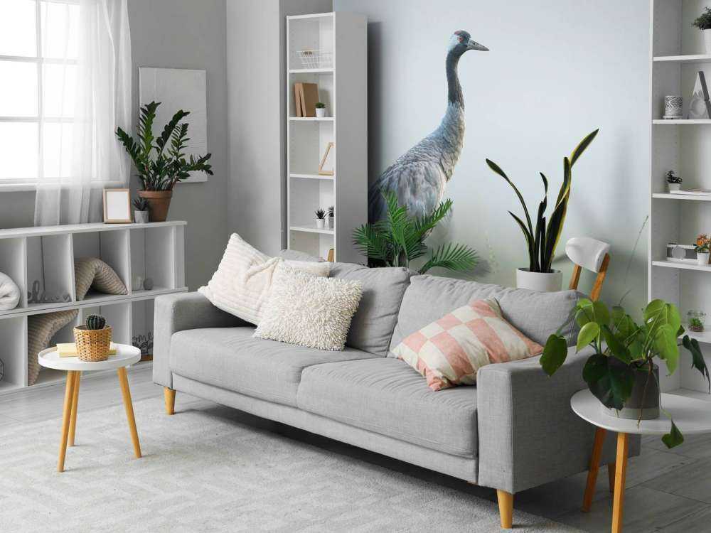 Gru nella nebbia del mattino