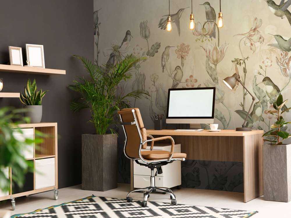 Sinfonia di Colibrì Primaverile - Sussurro del Deserto