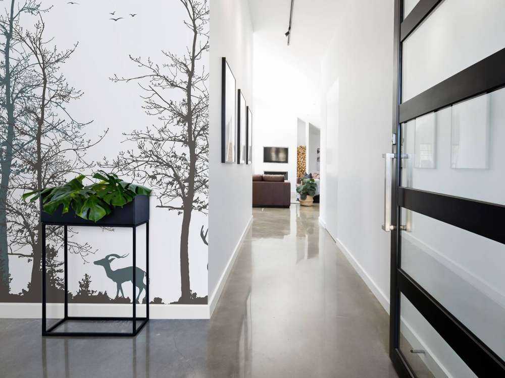 Contorno Invernale Silenzio della Foresta