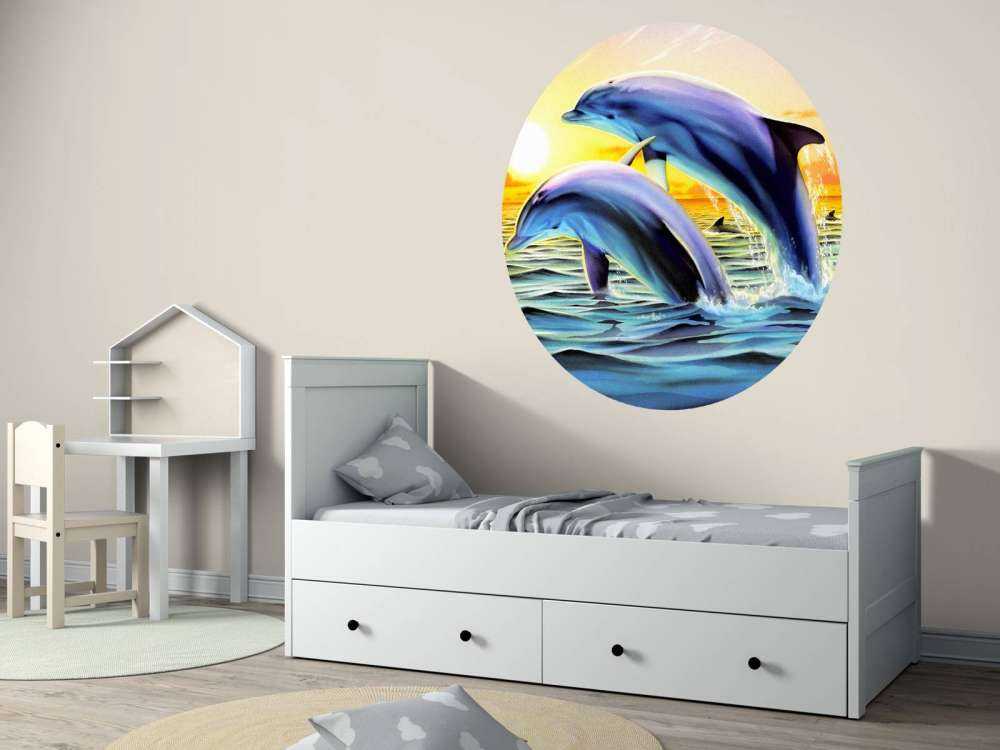 Dolphin Duo Variant 2